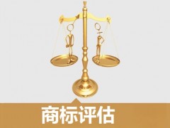 商標(biāo)的價(jià)值評估，新手賣家必看